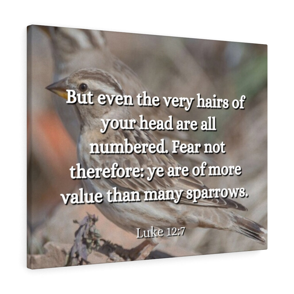 Scripture Walls Forgotten Luke 12:7 Bible Verse Canvas Christian Wall Art Ready to Hang Unframed-Express Your Love Gifts