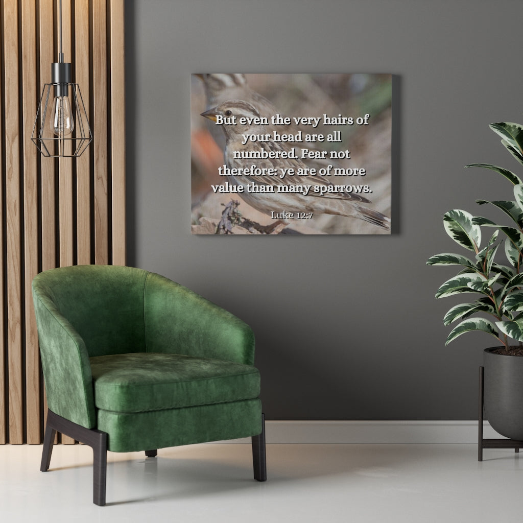 Scripture Walls Forgotten Luke 12:7 Bible Verse Canvas Christian Wall Art Ready to Hang Unframed-Express Your Love Gifts
