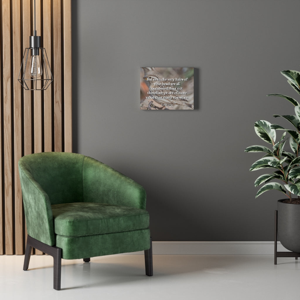 Scripture Walls Forgotten Luke 12:7 Bible Verse Canvas Christian Wall Art Ready to Hang Unframed-Express Your Love Gifts