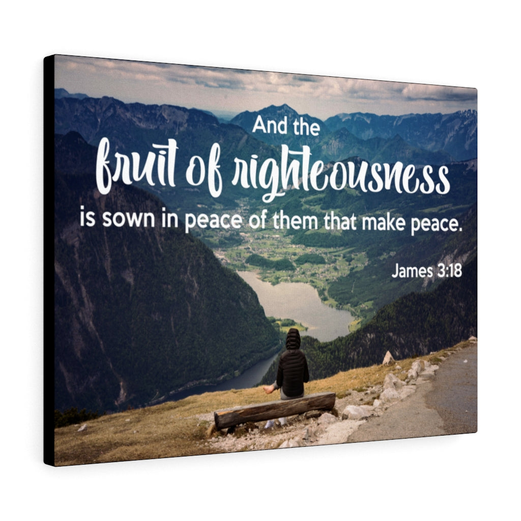 Scripture Walls Fruit of Righteousness James 3:18 Bible Verse Canvas Christian Wall Art Ready to Hang Unframed-Express Your Love Gifts