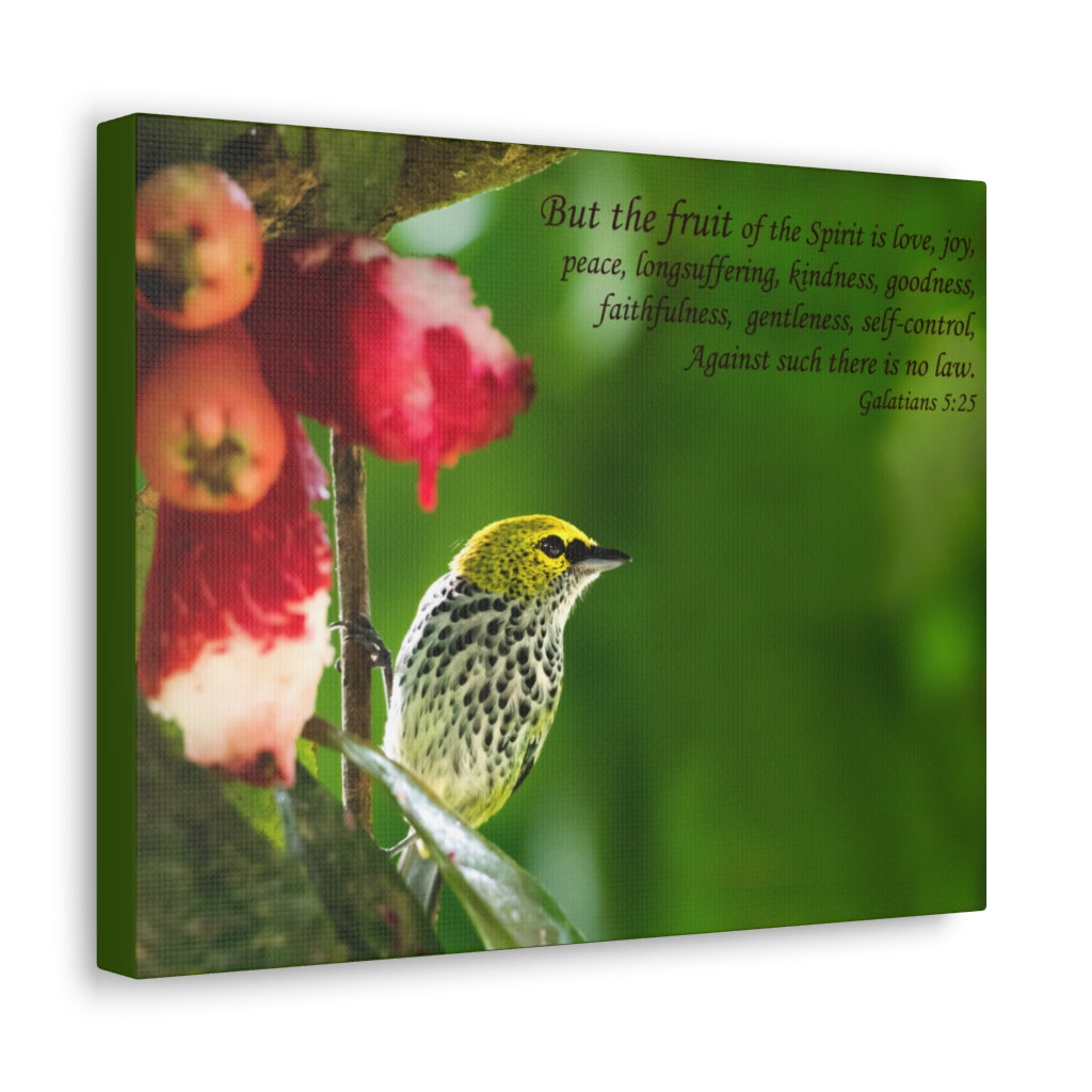 Scripture Walls Fruit Of The Spirit Galatians 5:25 Bible Verse Canvas Christian Wall Art Ready to Hang Unframed-Express Your Love Gifts