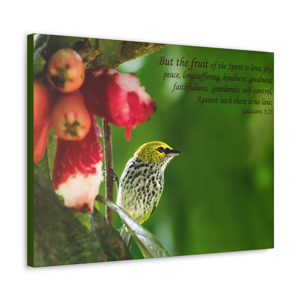 Scripture Walls Fruit Of The Spirit Galatians 5:25 Bible Verse Canvas Christian Wall Art Ready to Hang Unframed-Express Your Love Gifts