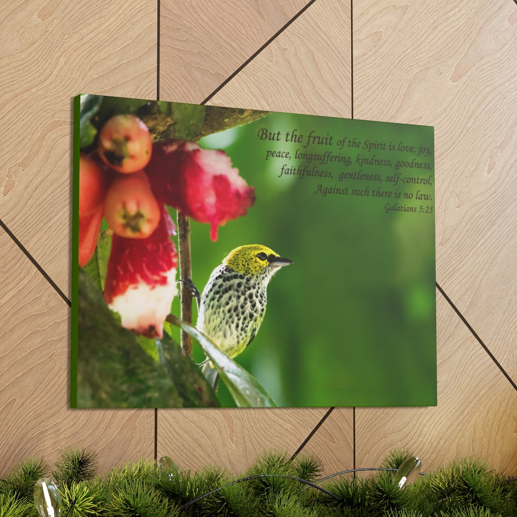 Scripture Walls Fruit Of The Spirit Galatians 5:25 Bible Verse Canvas Christian Wall Art Ready to Hang Unframed-Express Your Love Gifts