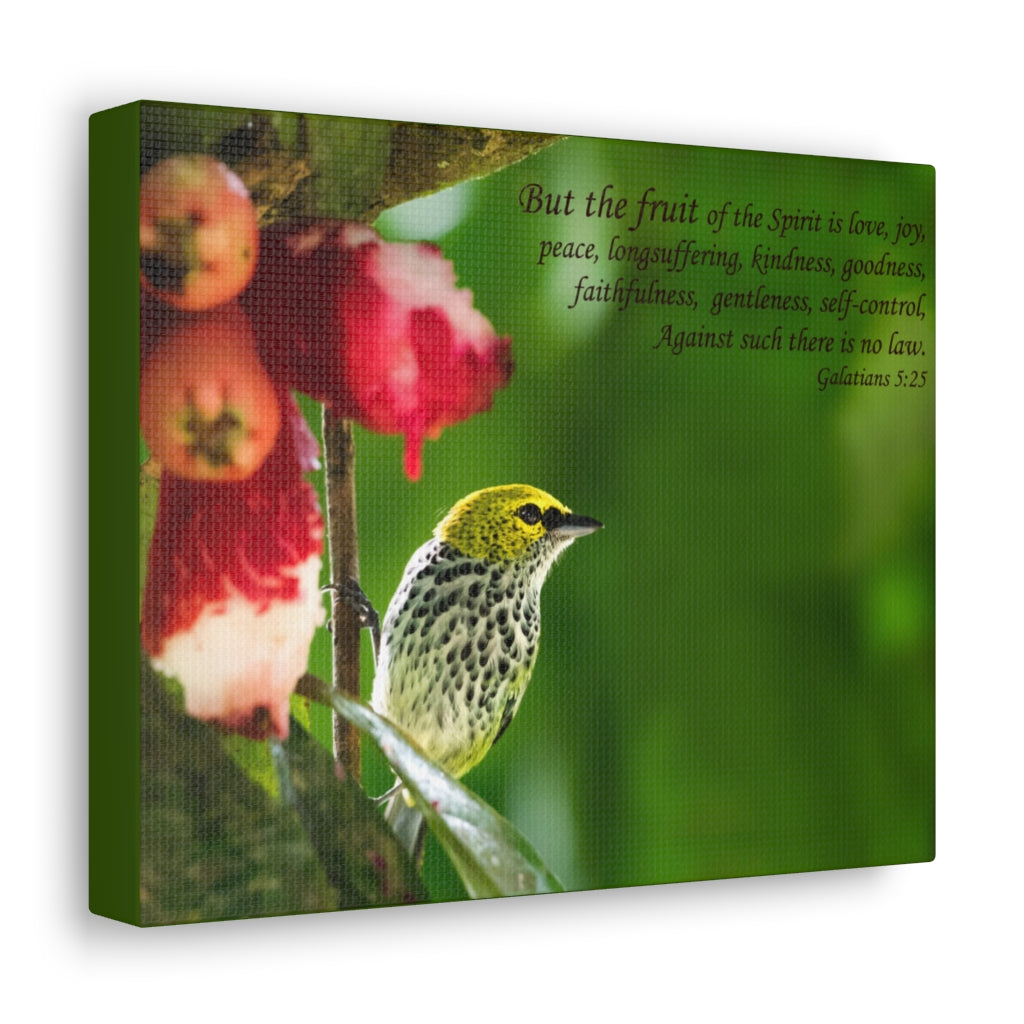 Scripture Walls Fruit Of The Spirit Galatians 5:25 Bible Verse Canvas Christian Wall Art Ready to Hang Unframed-Express Your Love Gifts