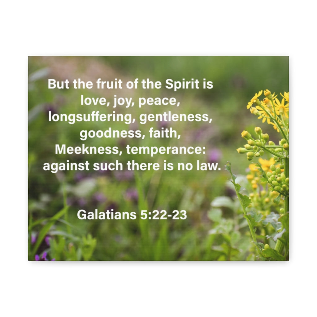 Scripture Walls Gentleness Goodness Faith Galatians 5:22-23 Bible Verse Canvas Christian Wall Art Ready to Hang Unframed-Express Your Love Gifts