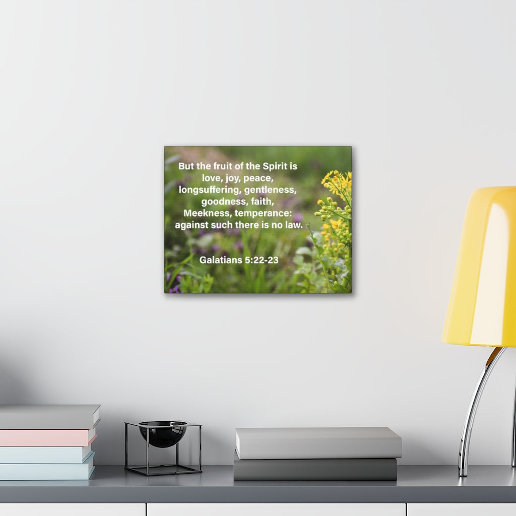 Scripture Walls Gentleness Goodness Faith Galatians 5:22-23 Bible Verse Canvas Christian Wall Art Ready to Hang Unframed-Express Your Love Gifts