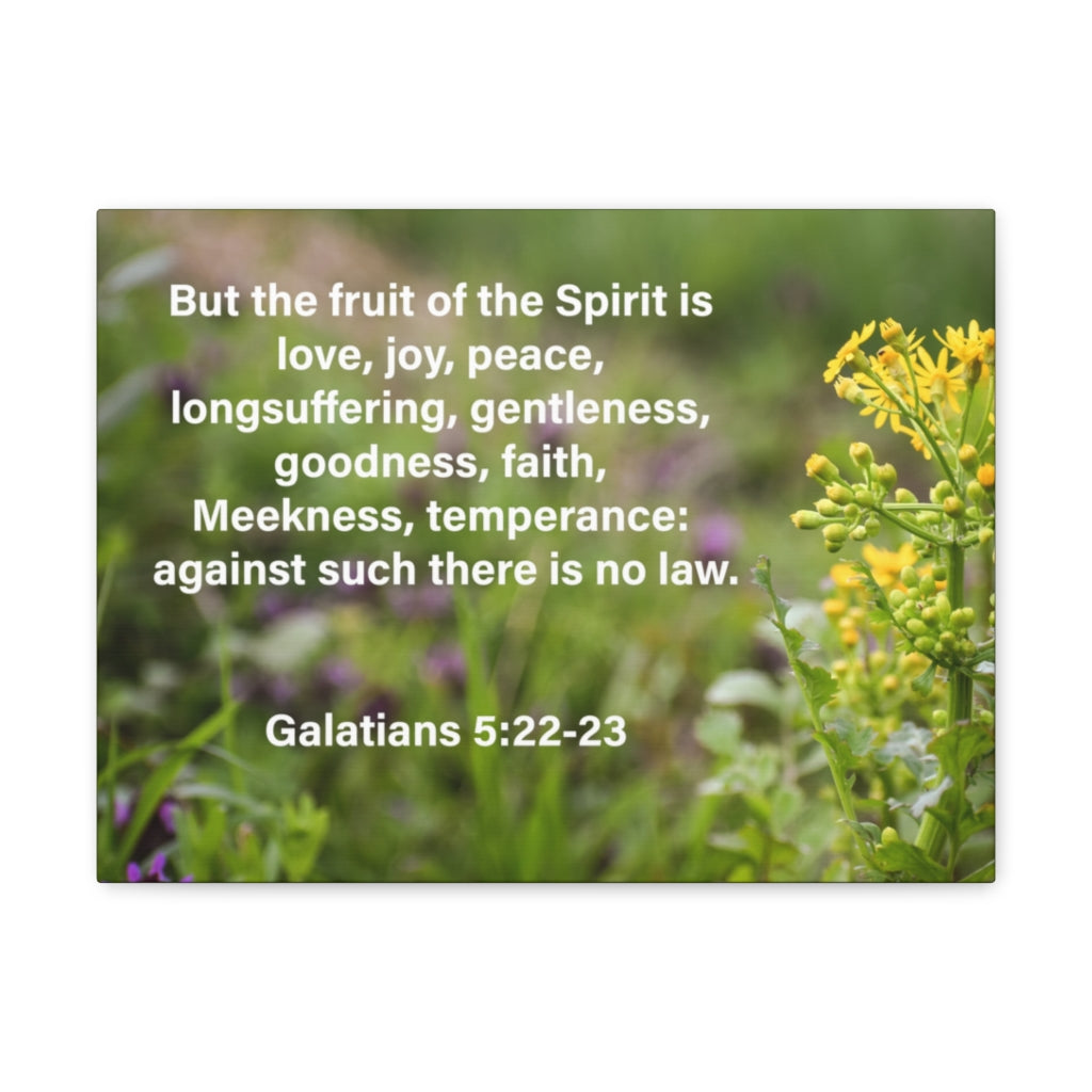 Scripture Walls Gentleness Goodness Faith Galatians 5:22-23 Bible Verse Canvas Christian Wall Art Ready to Hang Unframed-Express Your Love Gifts