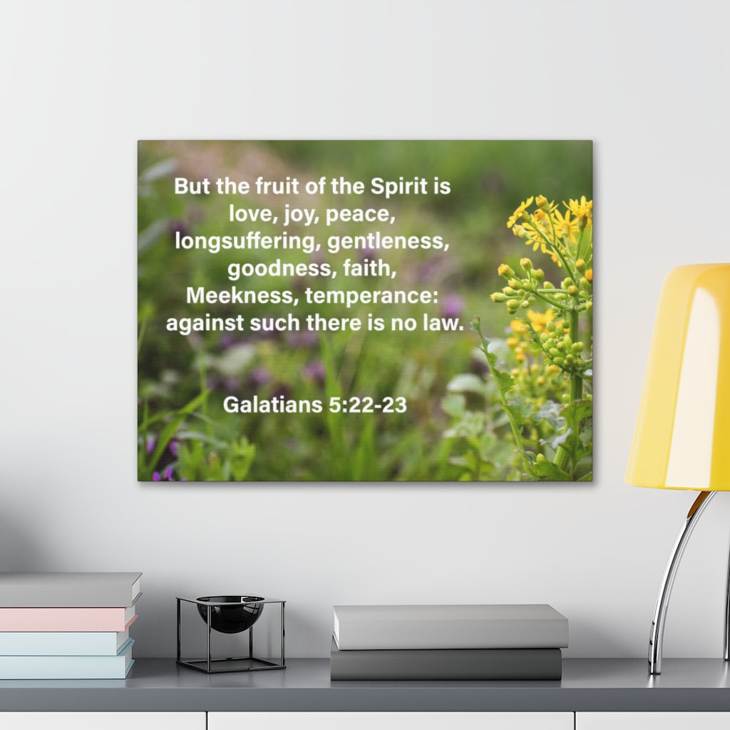 Scripture Walls Gentleness Goodness Faith Galatians 5:22-23 Bible Verse Canvas Christian Wall Art Ready to Hang Unframed-Express Your Love Gifts