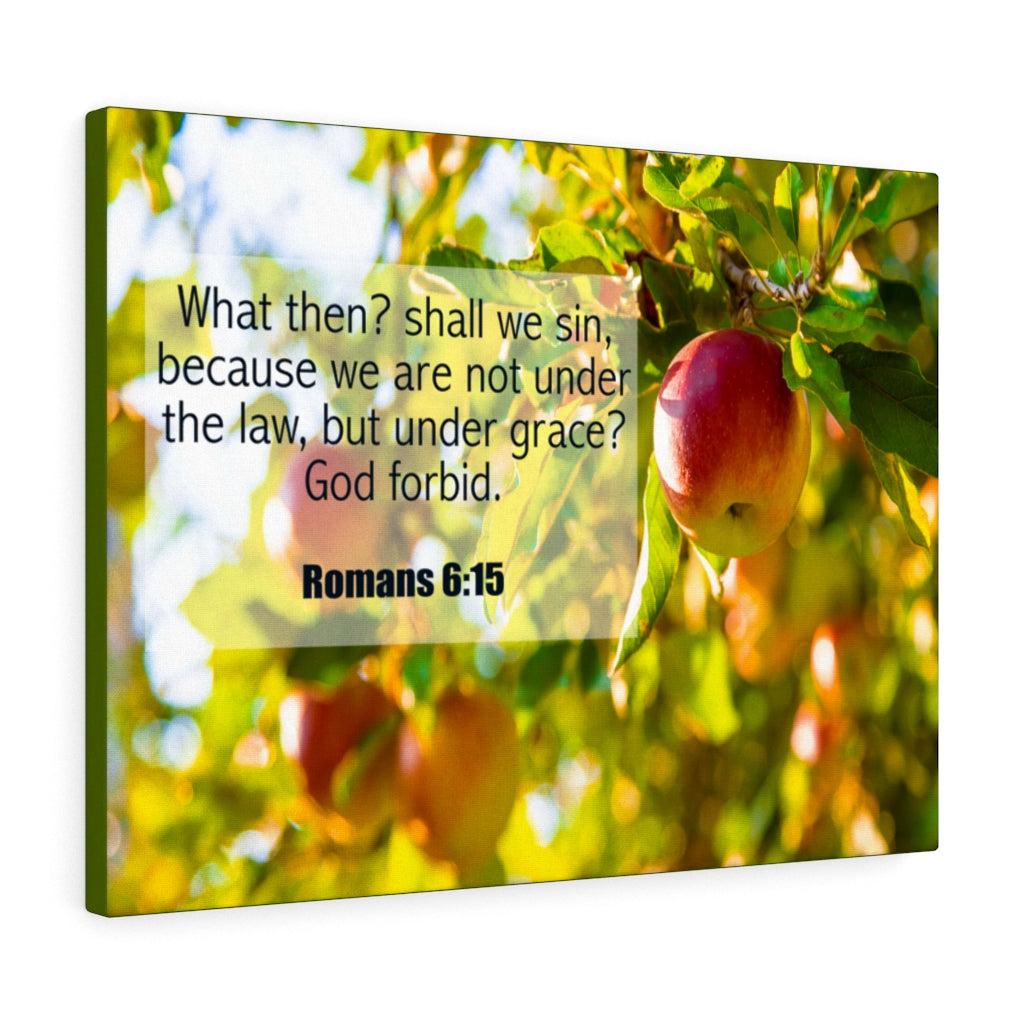 Scripture Walls God Forbid Romans 6:15 Bible Verse Canvas Christian Wall Art Ready to Hang Unframed-Express Your Love Gifts