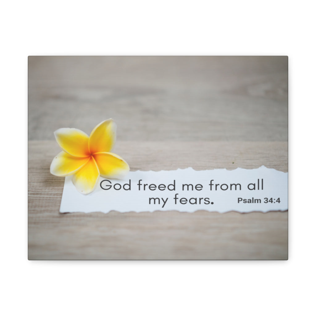 Scripture Walls God Freed Me From All My Fears Psalm 34:4 Bible Verse Canvas Christian Wall Art Ready to Hang Unframed-Express Your Love Gifts