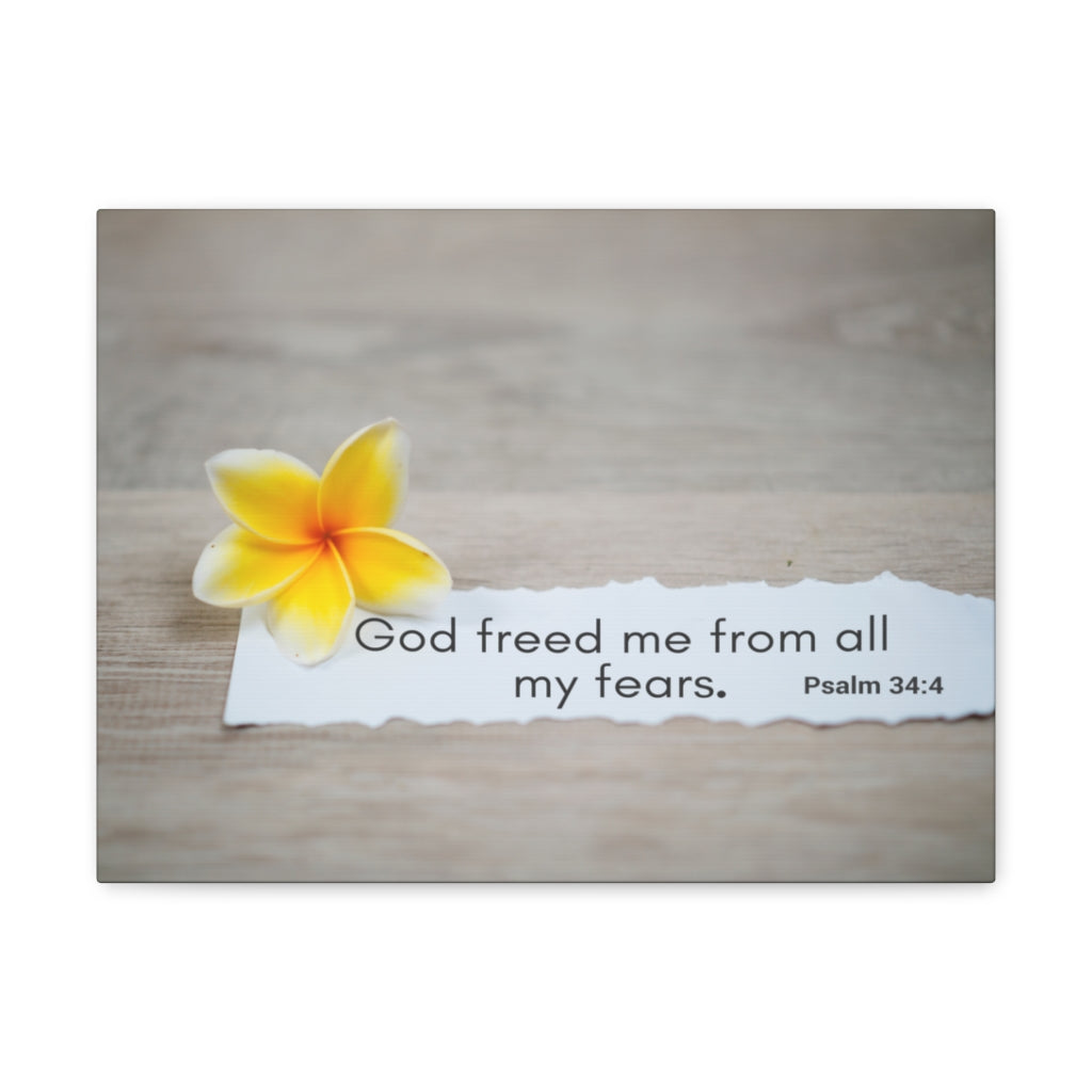 Scripture Walls God Freed Me From All My Fears Psalm 34:4 Bible Verse Canvas Christian Wall Art Ready to Hang Unframed-Express Your Love Gifts