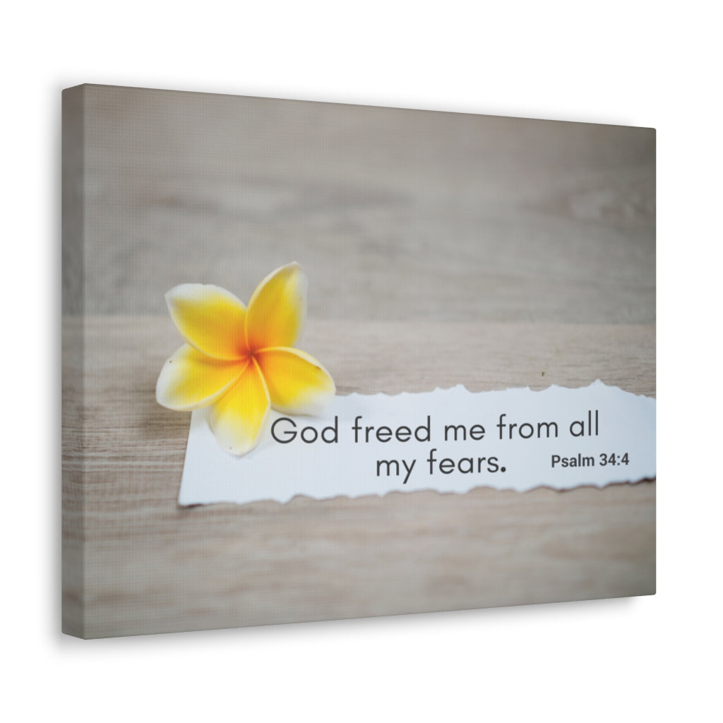 Scripture Walls God Freed Me From All My Fears Psalm 34:4 Bible Verse Canvas Christian Wall Art Ready to Hang Unframed-Express Your Love Gifts