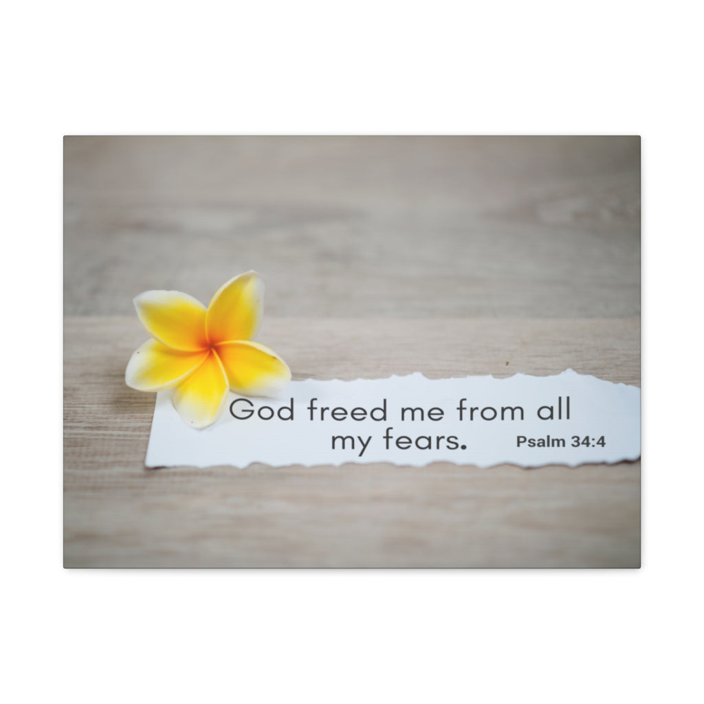 Scripture Walls God Freed Me From All My Fears Psalm 34:4 Bible Verse Canvas Christian Wall Art Ready to Hang Unframed-Express Your Love Gifts