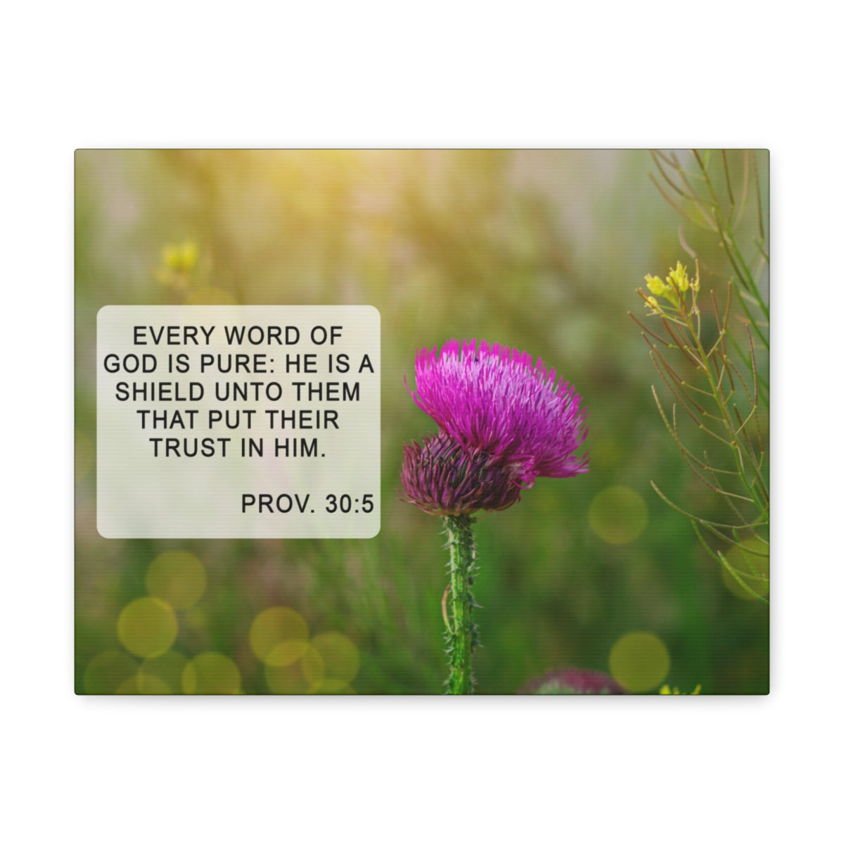 Scripture Walls God Is Pure Proverbs 30:5 Bible Verse Canvas Christian Wall Art Bible Verse Print Ready To Hang Unframed-Express Your Love Gifts