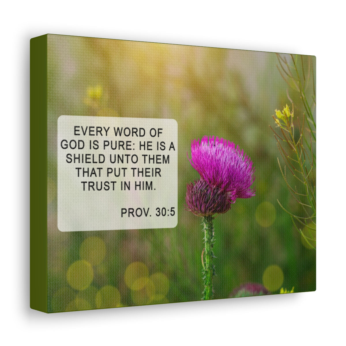 Scripture Walls God Is Pure Proverbs 30:5 Bible Verse Canvas Christian Wall Art Bible Verse Print Ready To Hang Unframed-Express Your Love Gifts