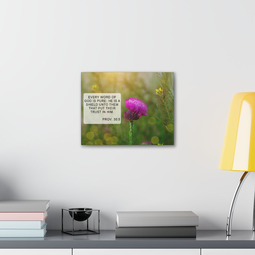 Scripture Walls God Is Pure Proverbs 30:5 Bible Verse Canvas Christian Wall Art Ready to Hang Unframed-Express Your Love Gifts