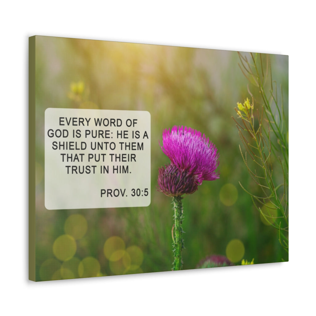 Scripture Walls God Is Pure Proverbs 30:5 Bible Verse Canvas Christian Wall Art Ready to Hang Unframed-Express Your Love Gifts