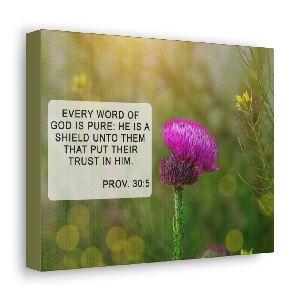 Scripture Walls God Is Pure Proverbs 30:5 Bible Verse Canvas Christian Wall Art Ready to Hang Unframed-Express Your Love Gifts