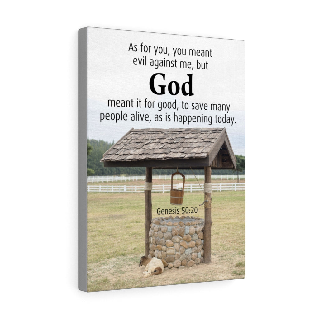 Scripture Walls God Meant It Genesis 50:20 Christian Home Decor Bible Art Unframed-Express Your Love Gifts