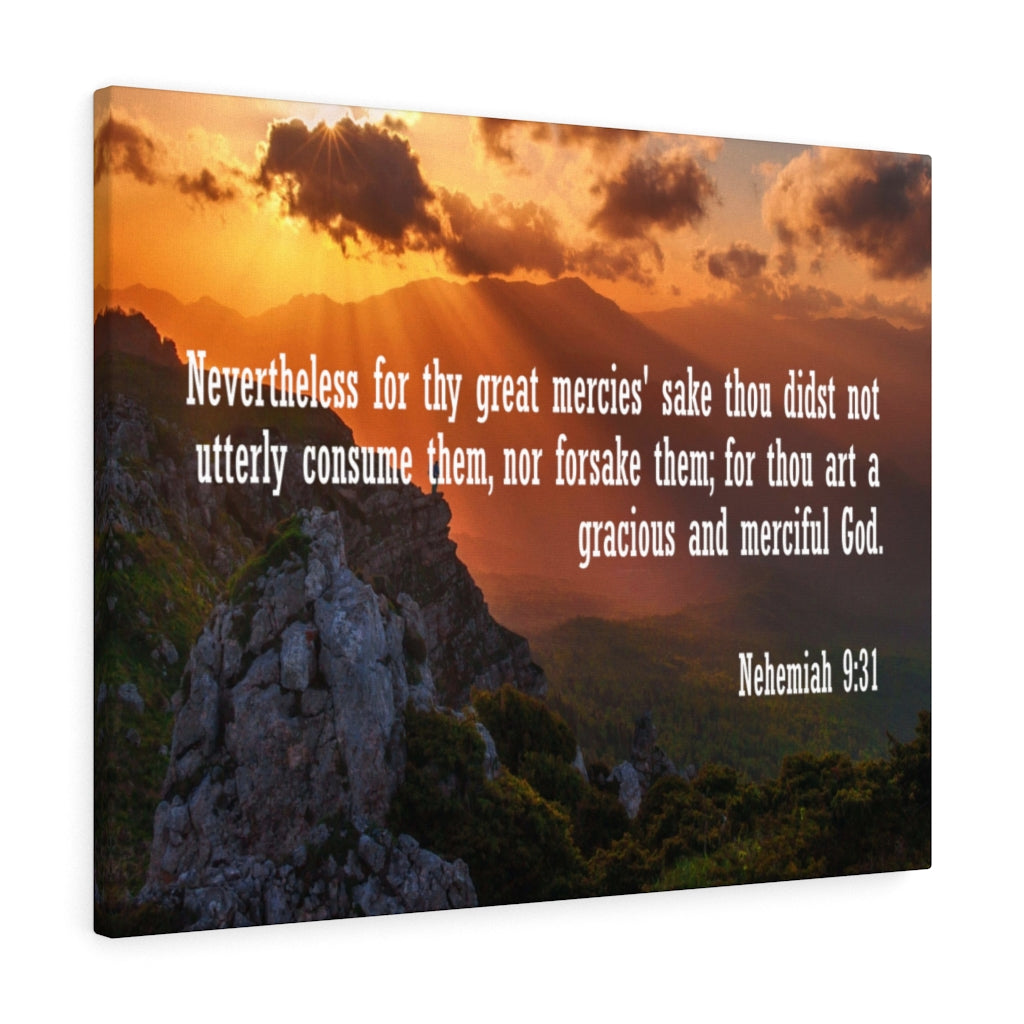 Scripture Walls Gracious and Merciful God Nehemiah 9:31 Bible Verse Canvas Christian Wall Art Ready to Hang Unframed-Express Your Love Gifts