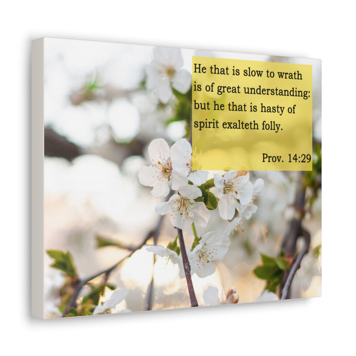 Scripture Walls Great Understanding Proverbs 14:29 Bible Verse Canvas Christian Wall Art Bible Verse Print Ready To Hang Unframed-Express Your Love Gifts