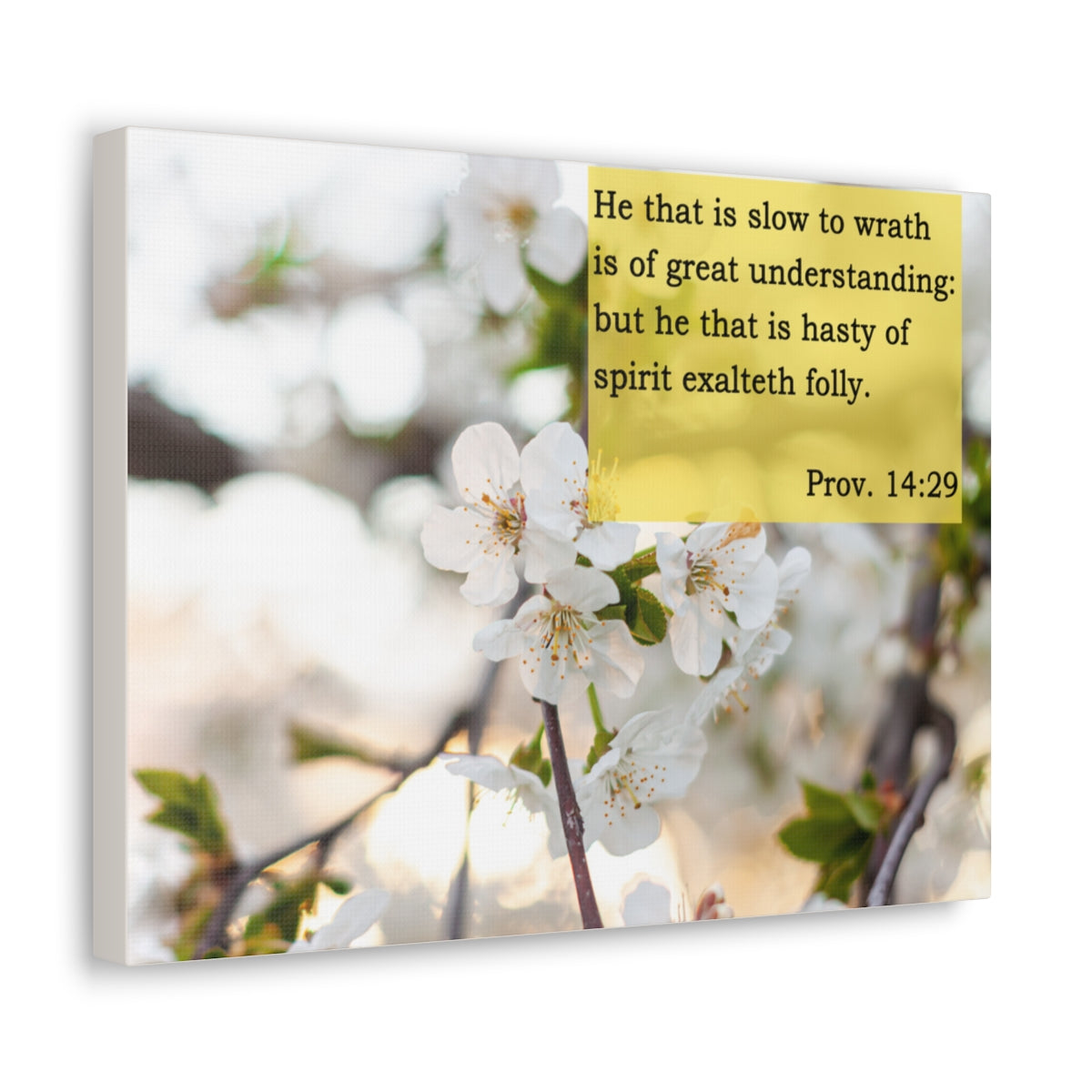 Scripture Walls Great Understanding Proverbs 14:29 Bible Verse Canvas Christian Wall Art Bible Verse Print Ready To Hang Unframed-Express Your Love Gifts