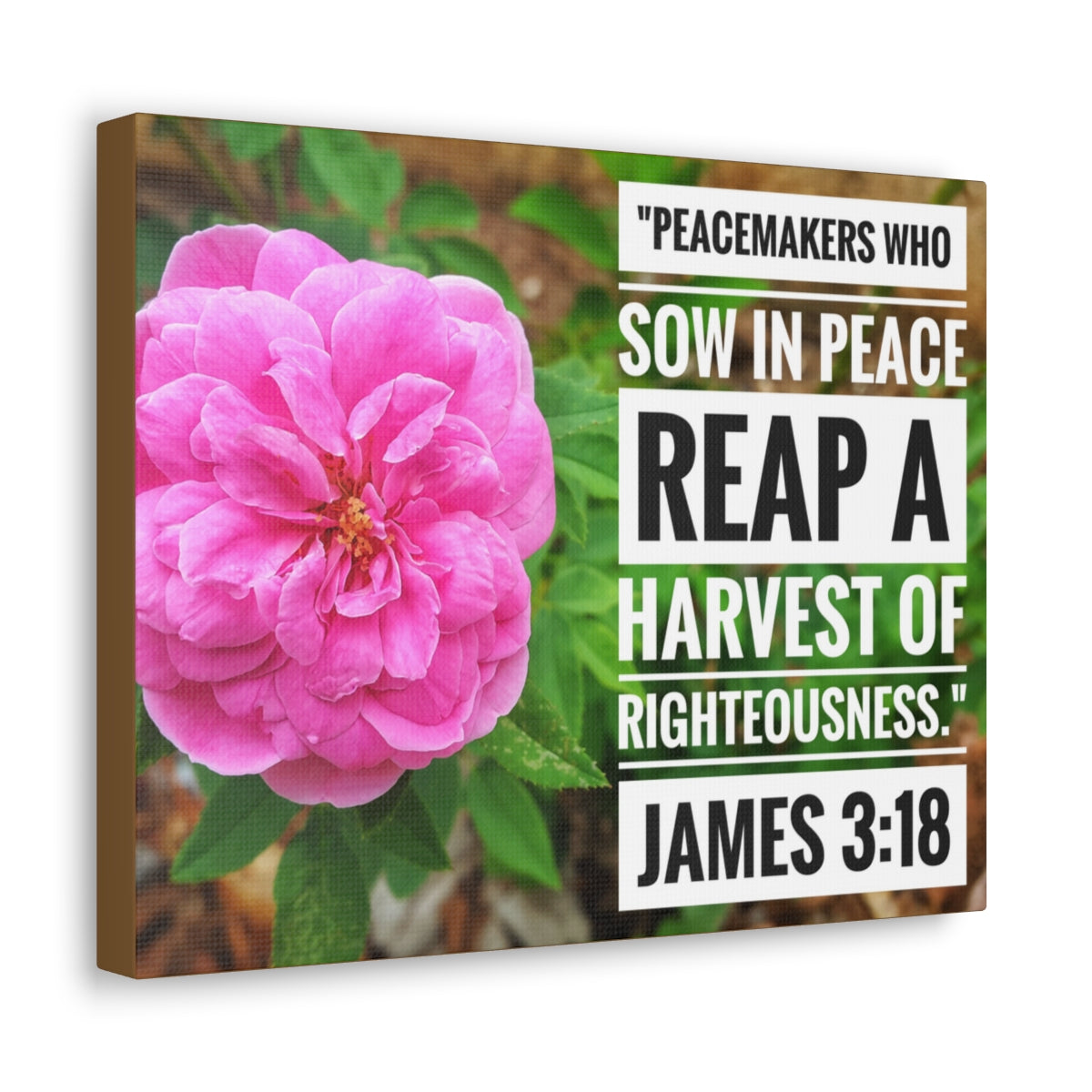 Scripture Walls Harvest Of Righteousness James 3:18 Bible Verse Canvas Christian Wall Art Bible Verse Print Ready To Hang Unframed-Express Your Love Gifts
