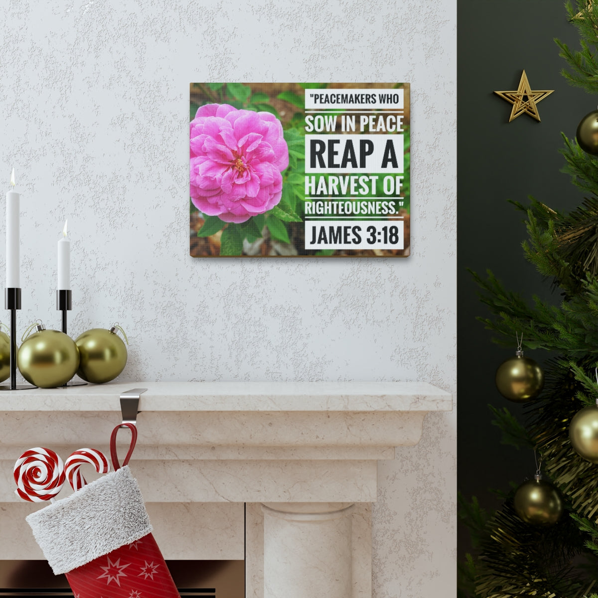 Scripture Walls Harvest Of Righteousness James 3:18 Bible Verse Canvas Christian Wall Art Bible Verse Print Ready To Hang Unframed-Express Your Love Gifts