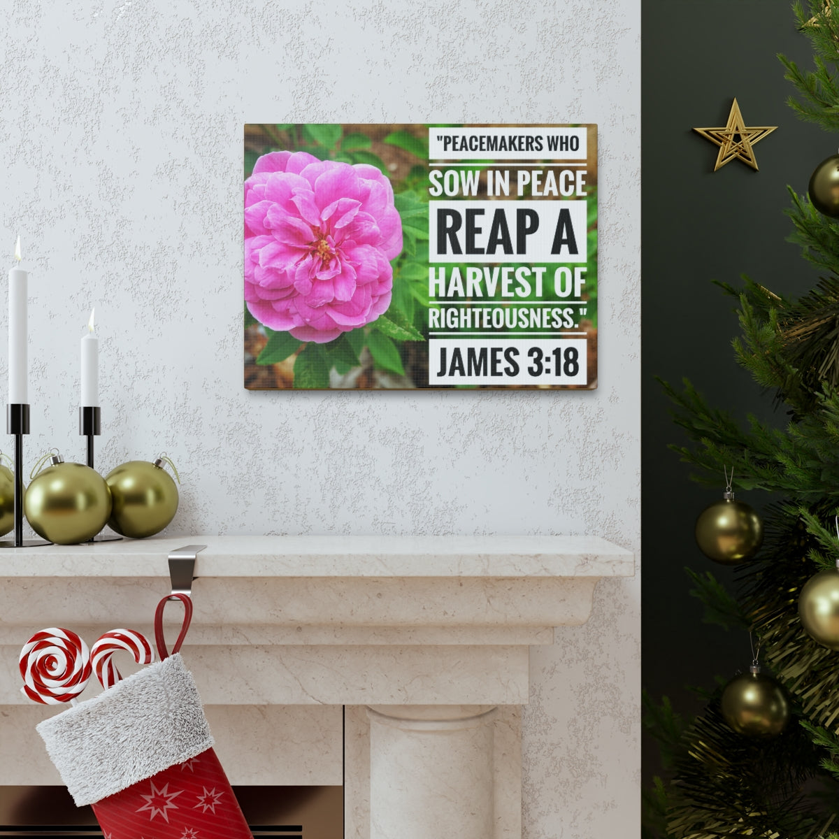 Scripture Walls Harvest Of Righteousness James 3:18 Bible Verse Canvas Christian Wall Art Bible Verse Print Ready To Hang Unframed-Express Your Love Gifts