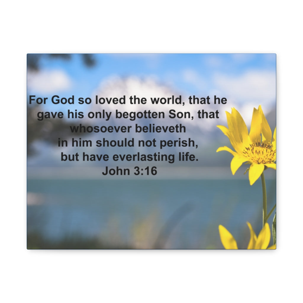 Scripture Walls Have Everlasting Life John 3:16 Bible Verse Canvas Christian Wall Art Ready to Hang Unframed-Express Your Love Gifts