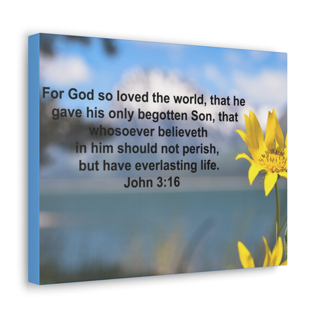 Scripture Walls Have Everlasting Life John 3:16 Bible Verse Canvas Christian Wall Art Ready to Hang Unframed-Express Your Love Gifts