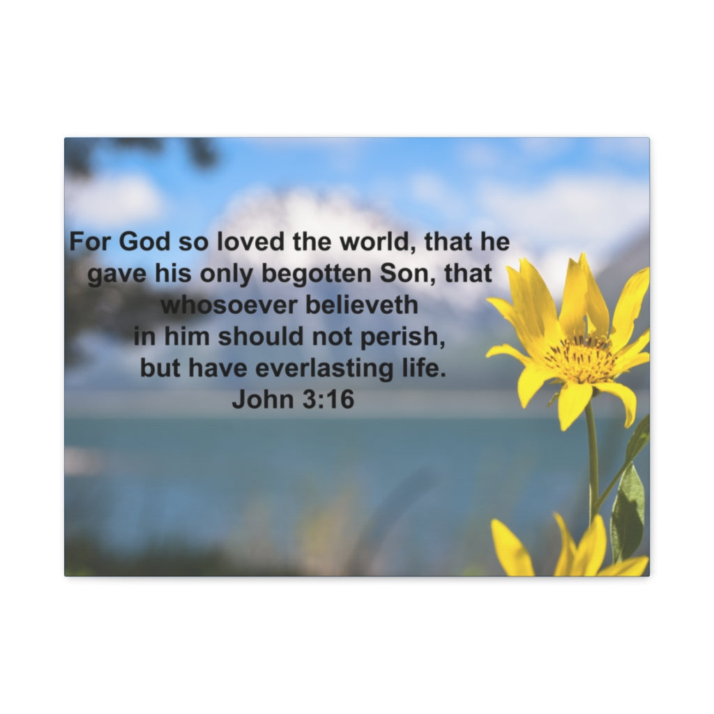 Scripture Walls Have Everlasting Life John 3:16 Bible Verse Canvas Christian Wall Art Ready to Hang Unframed-Express Your Love Gifts
