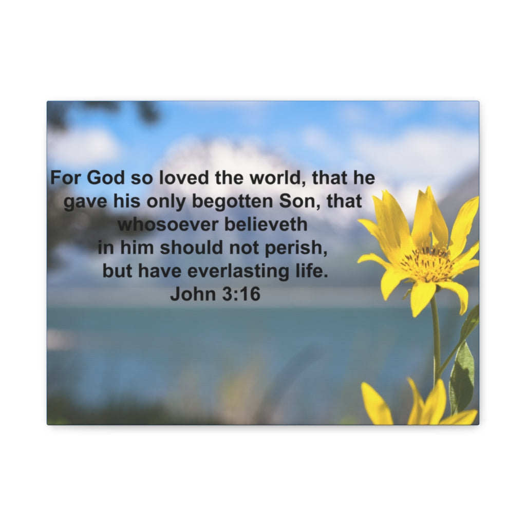 Scripture Walls Have Everlasting Life John 3:16 Bible Verse Canvas Christian Wall Art Ready to Hang Unframed-Express Your Love Gifts