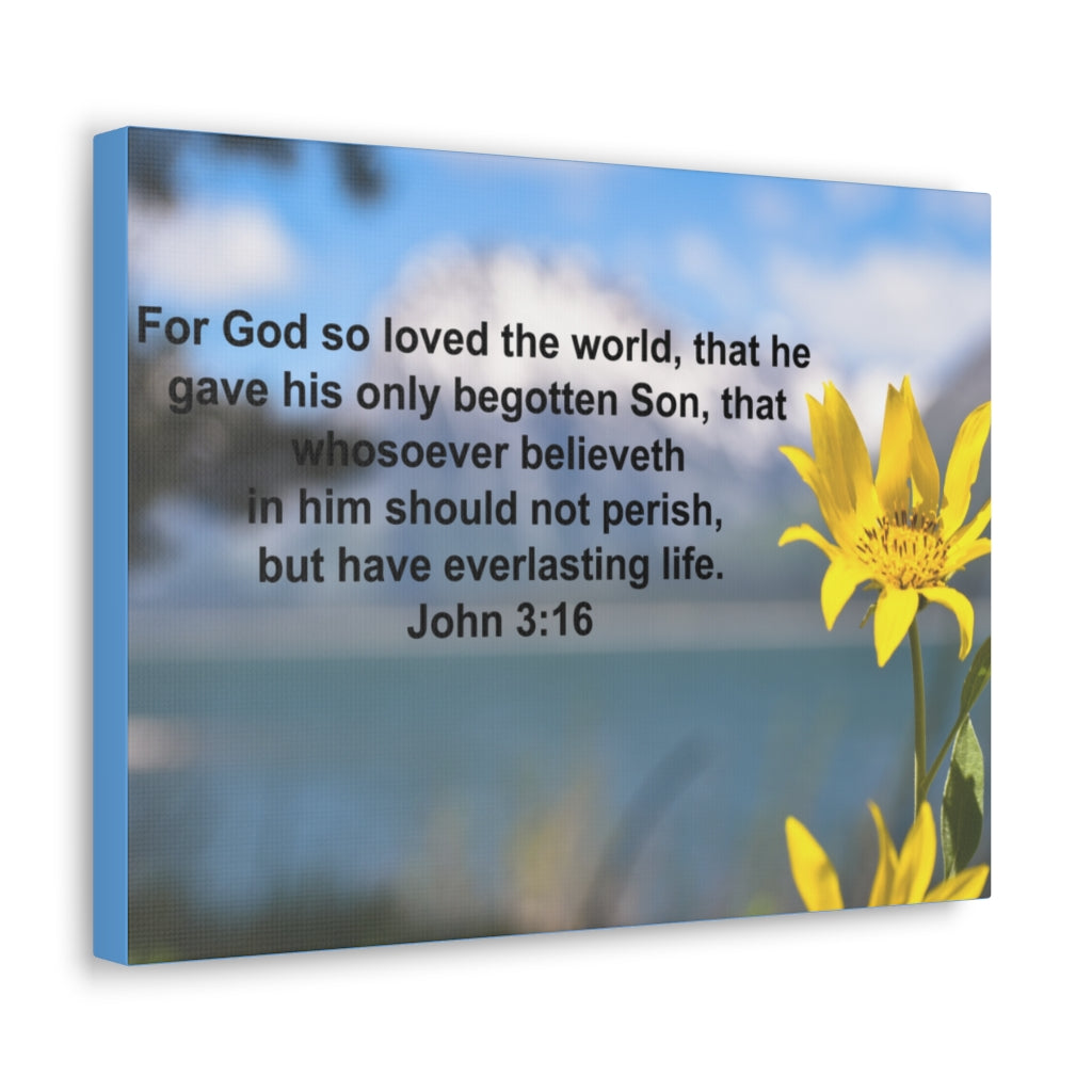 Scripture Walls Have Everlasting Life John 3:16 Bible Verse Canvas Christian Wall Art Ready to Hang Unframed-Express Your Love Gifts