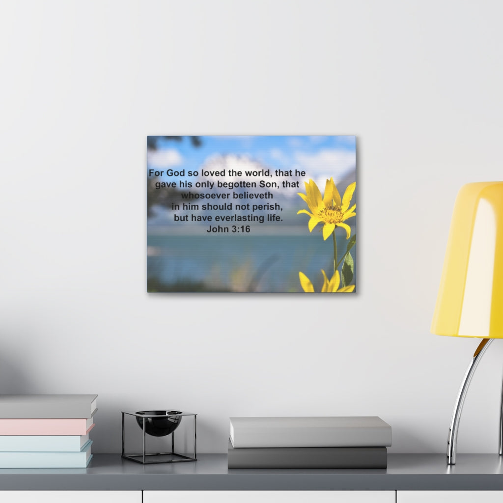 Scripture Walls Have Everlasting Life John 3:16 Bible Verse Canvas Christian Wall Art Ready to Hang Unframed-Express Your Love Gifts