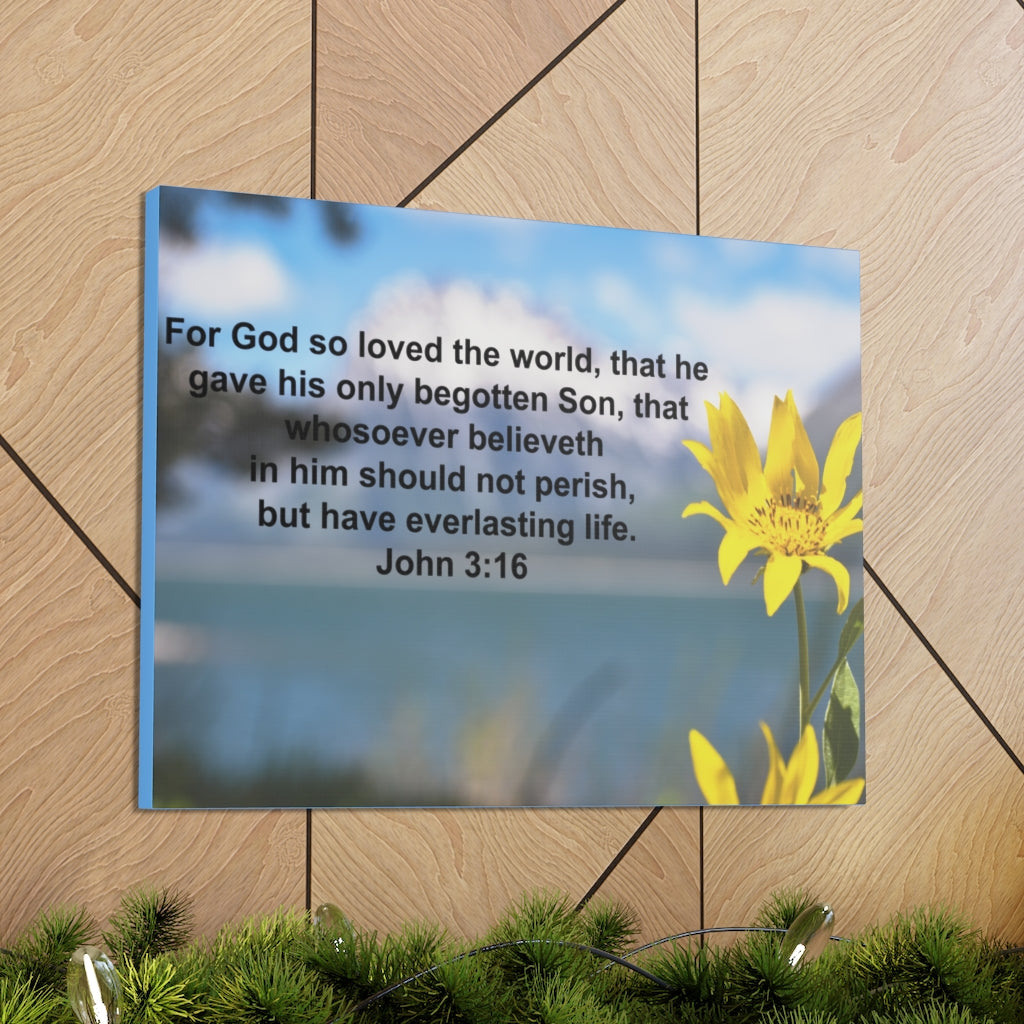 Scripture Walls Have Everlasting Life John 3:16 Bible Verse Canvas Christian Wall Art Ready to Hang Unframed-Express Your Love Gifts