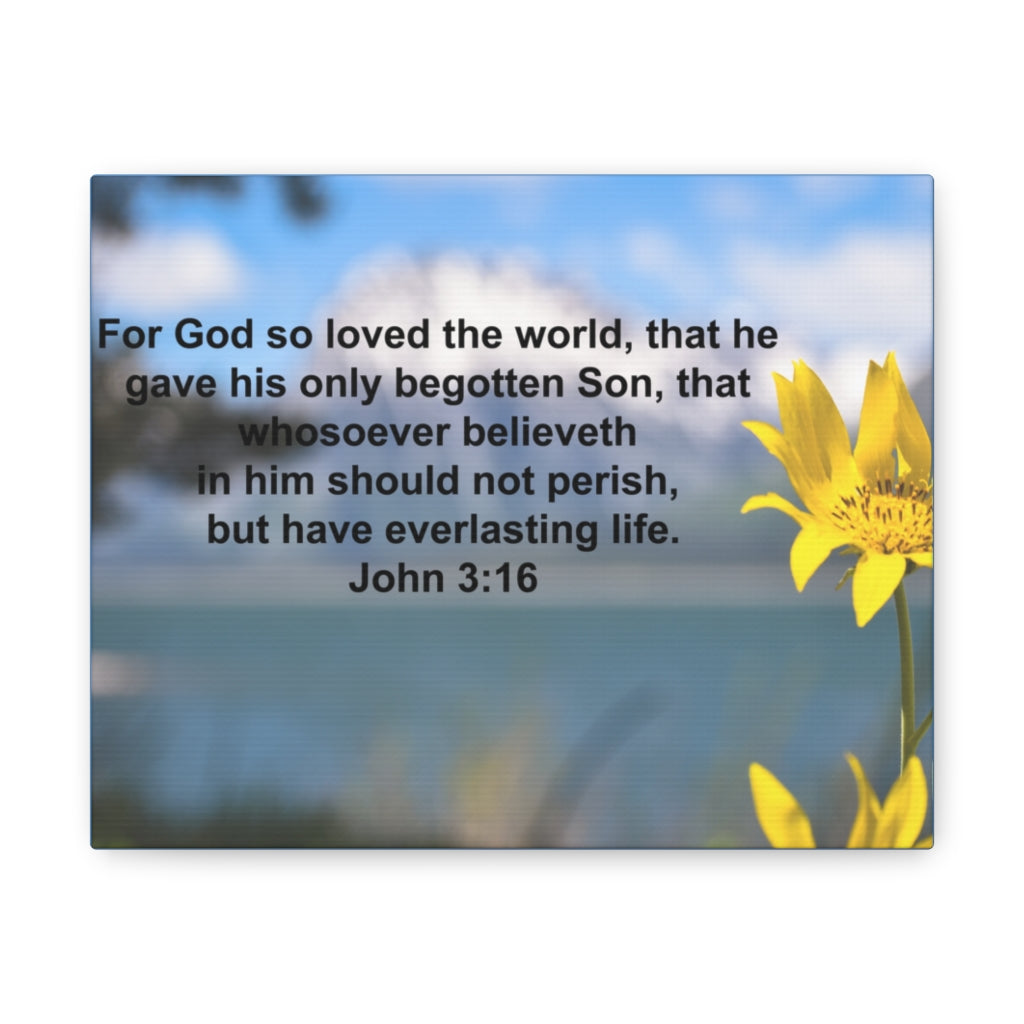 Scripture Walls Have Everlasting Life John 3:16 Bible Verse Canvas Christian Wall Art Ready to Hang Unframed-Express Your Love Gifts