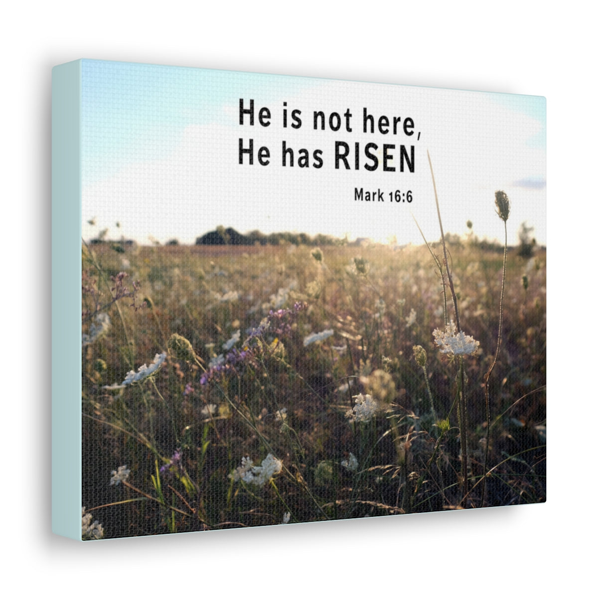 Scripture Walls He Has Risen Mark 16:6 Bible Verse Canvas Christian Wall Art Ready to Hang Unframed-Express Your Love Gifts