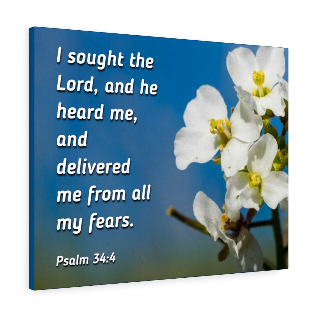 Scripture Walls He Heard Me Psalm 34:4 Bible Verse Canvas Christian Wall Art Ready to Hang Unframed-Express Your Love Gifts