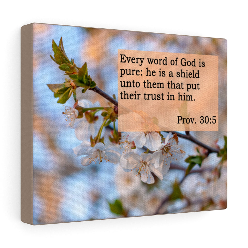 Scripture Walls He Is A Shield Proverbs 30:5 Bible Verse Canvas Christian Wall Art Ready to Hang Unframed-Express Your Love Gifts