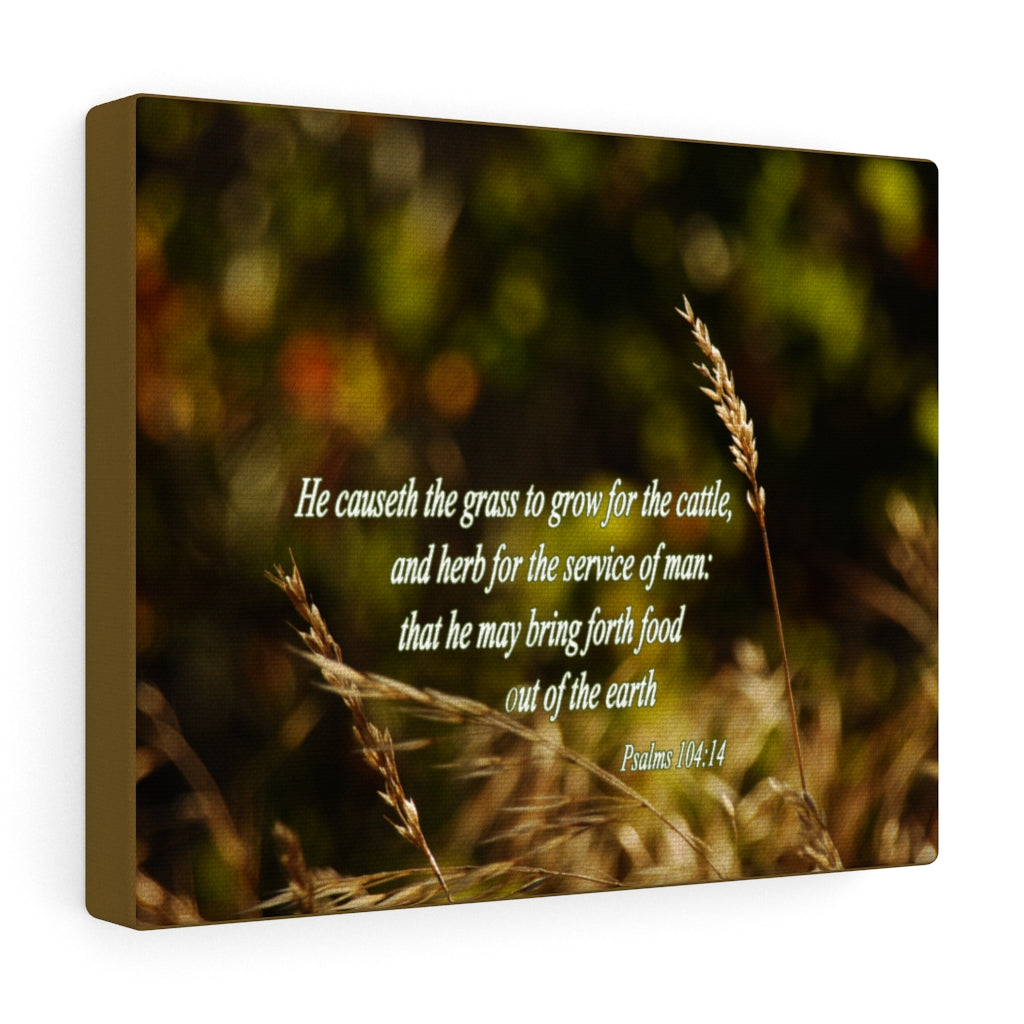 Scripture Walls He May Bring Forth Psalms 104:14 Bible Verse Canvas Christian Wall Art Ready to Hang Unframed-Express Your Love Gifts