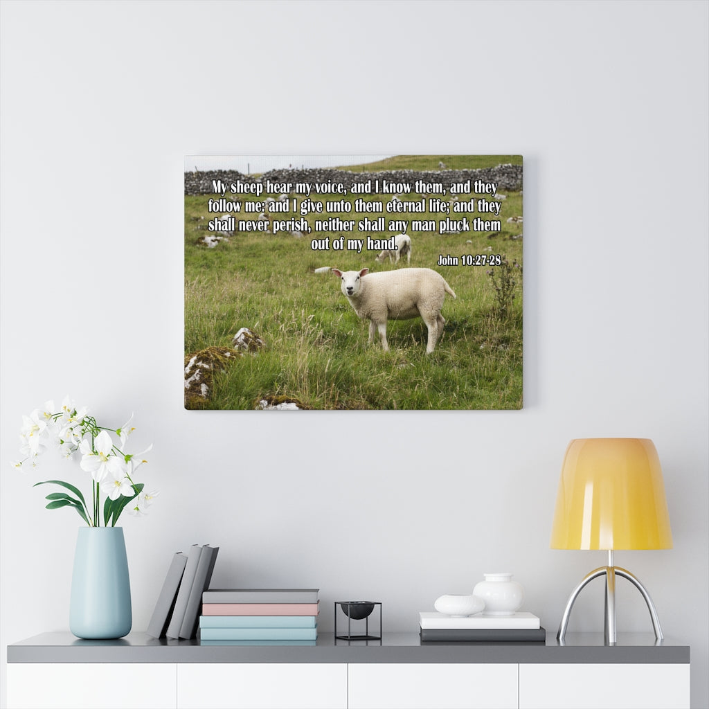 Scripture Walls Hear My Voice John 10:27-28 Bible Verse Canvas Christian Wall Art Ready to Hang Unframed-Express Your Love Gifts