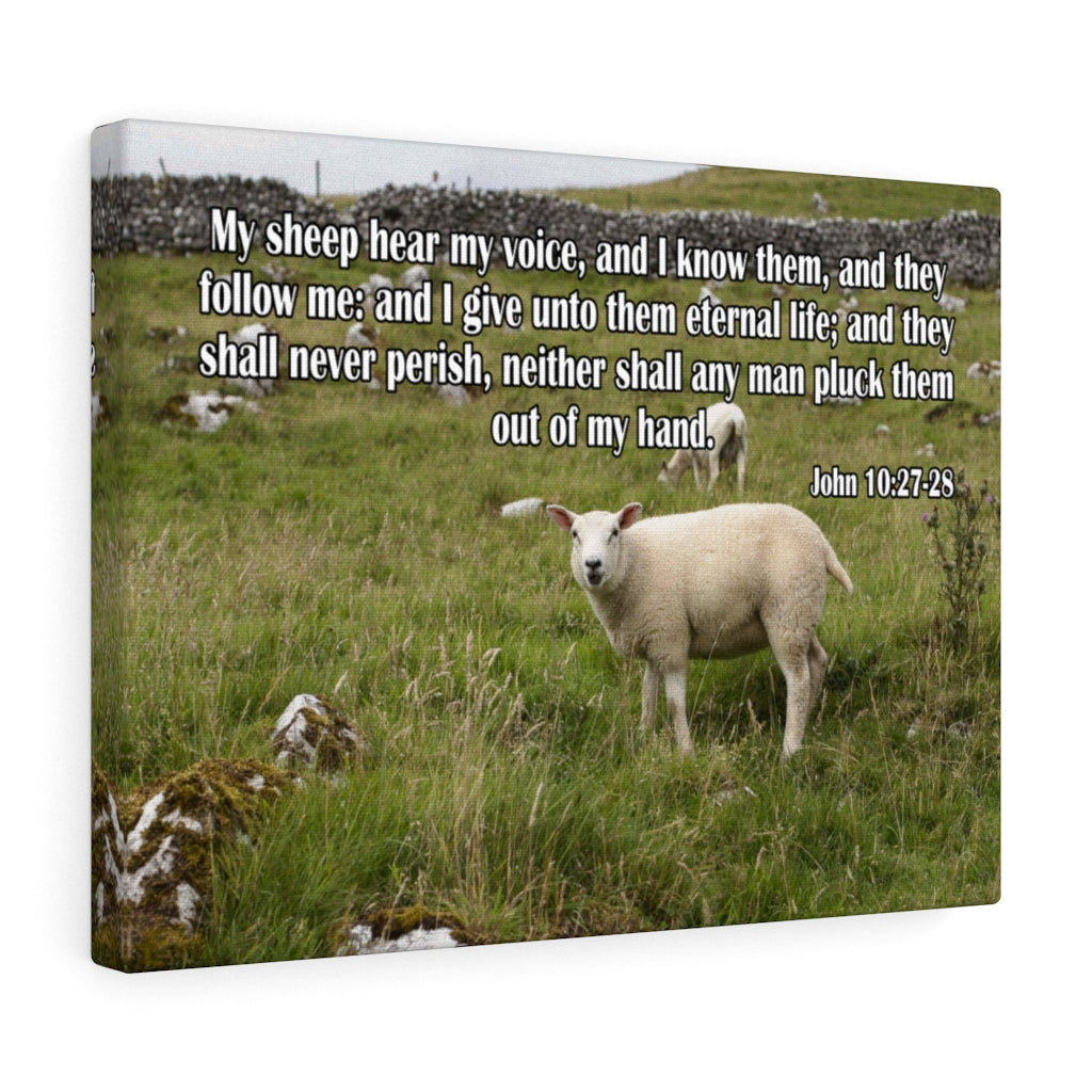 Scripture Walls Hear My Voice John 10:27-28 Bible Verse Canvas Christian Wall Art Ready to Hang Unframed-Express Your Love Gifts