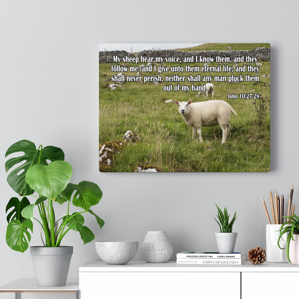 Scripture Walls Hear My Voice John 10:27-28 Bible Verse Canvas Christian Wall Art Ready to Hang Unframed-Express Your Love Gifts