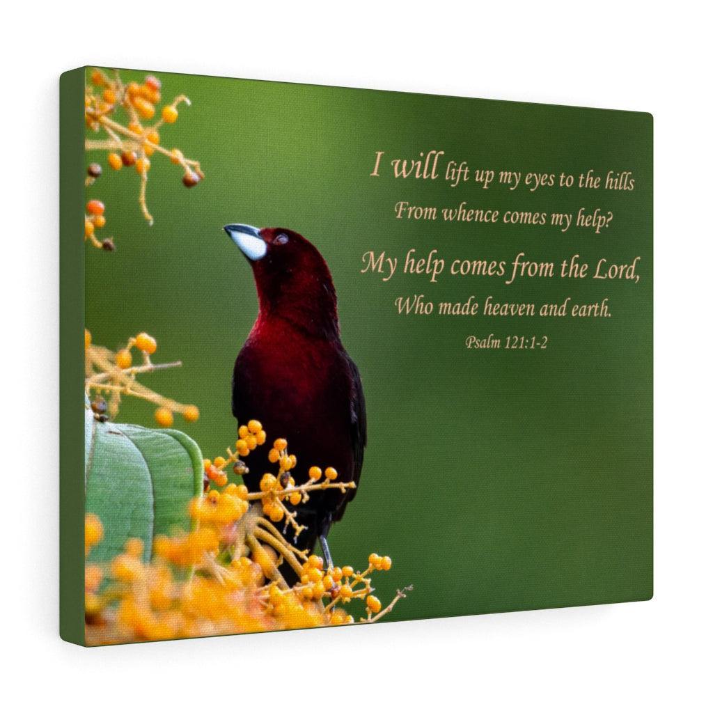Scripture Walls Heaven and Earth Psalm 121:1-2 Bible Verse Canvas Christian Wall Art Ready to Hang Unframed-Express Your Love Gifts