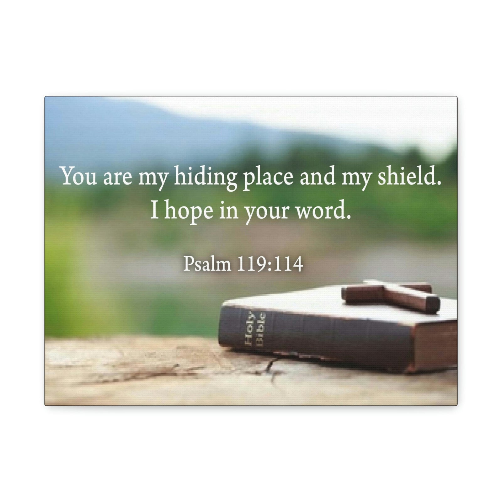 Scripture Walls Hiding Place Psalm 119:114 Bible Verse Canvas Christian Wall Art Ready to Hang Unframed-Express Your Love Gifts