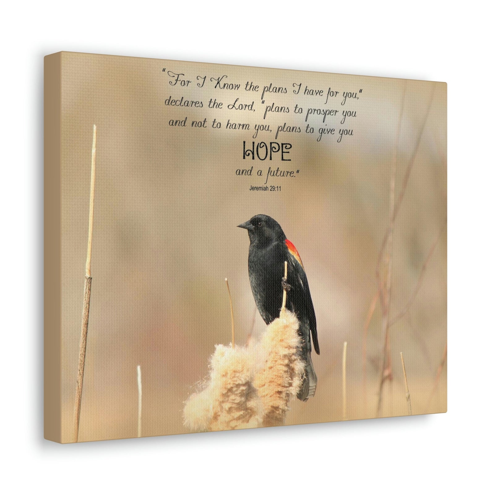 Scripture Walls Hope And A Future Jeremiah 29:11 Bible Verse Canvas Christian Wall Art Bible Verse Print Ready To Hang Unframed-Express Your Love Gifts