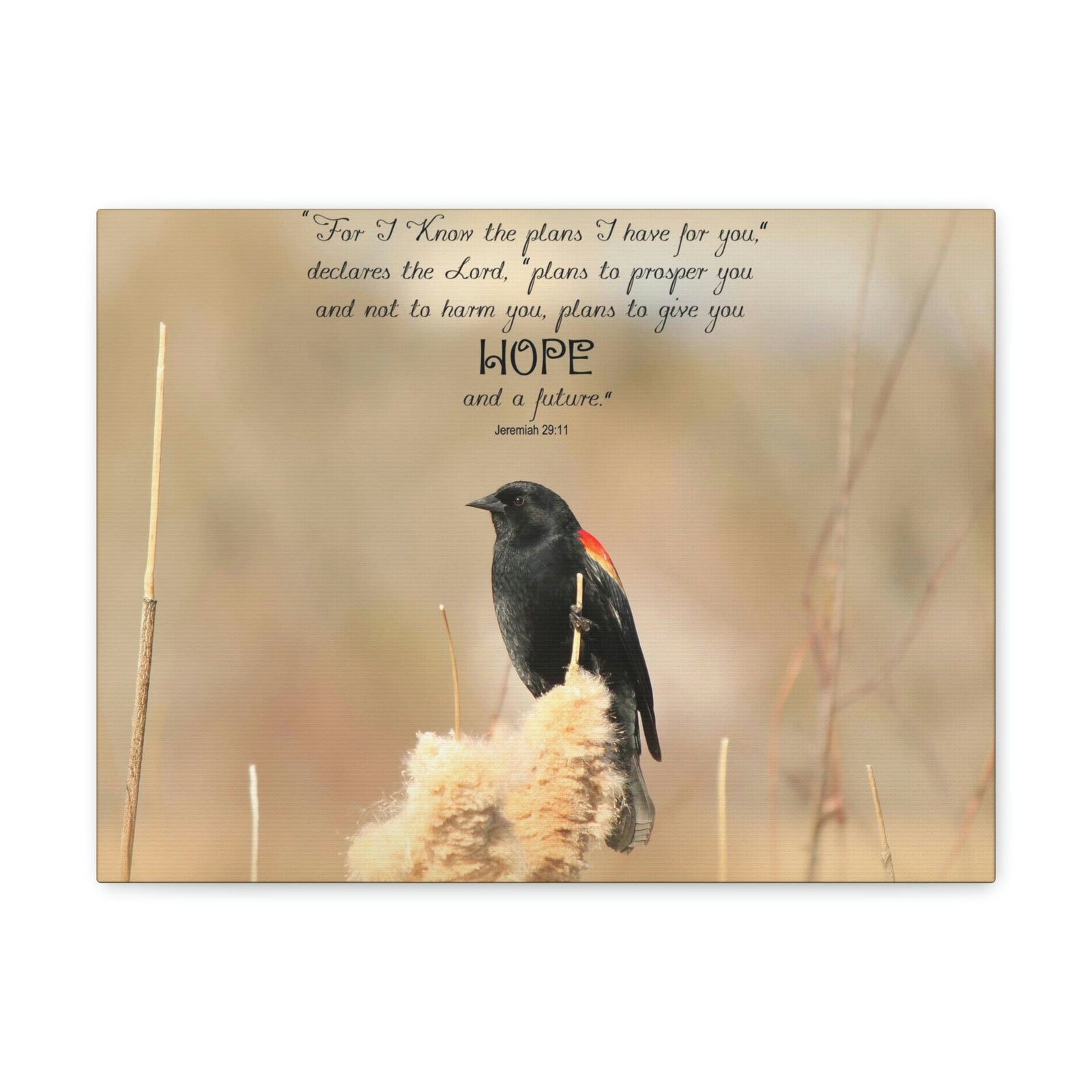 Scripture Walls Hope And A Future Jeremiah 29:11 Bible Verse Canvas Christian Wall Art Bible Verse Print Ready To Hang Unframed-Express Your Love Gifts