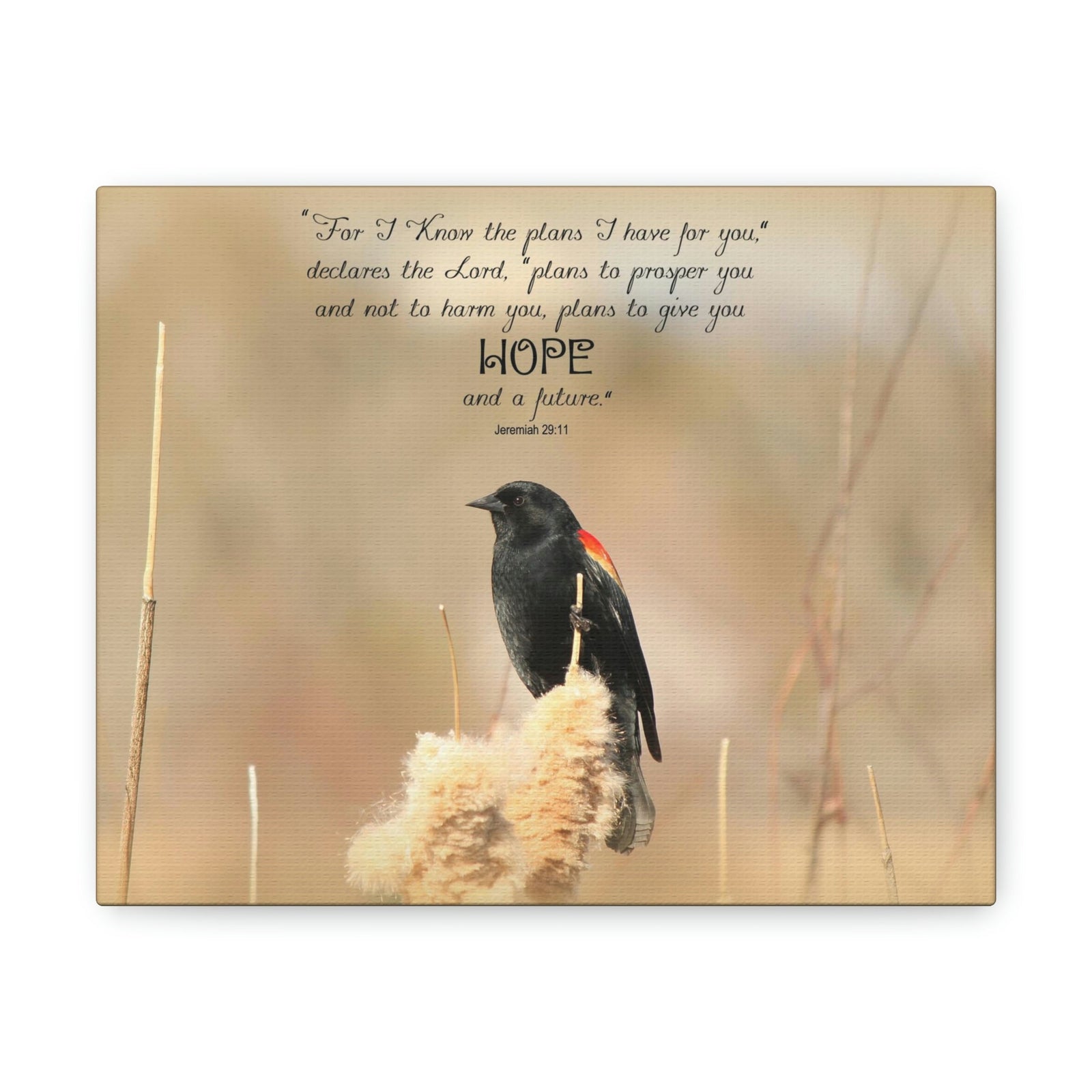 Scripture Walls Hope And A Future Jeremiah 29:11 Bible Verse Canvas Christian Wall Art Bible Verse Print Ready To Hang Unframed-Express Your Love Gifts