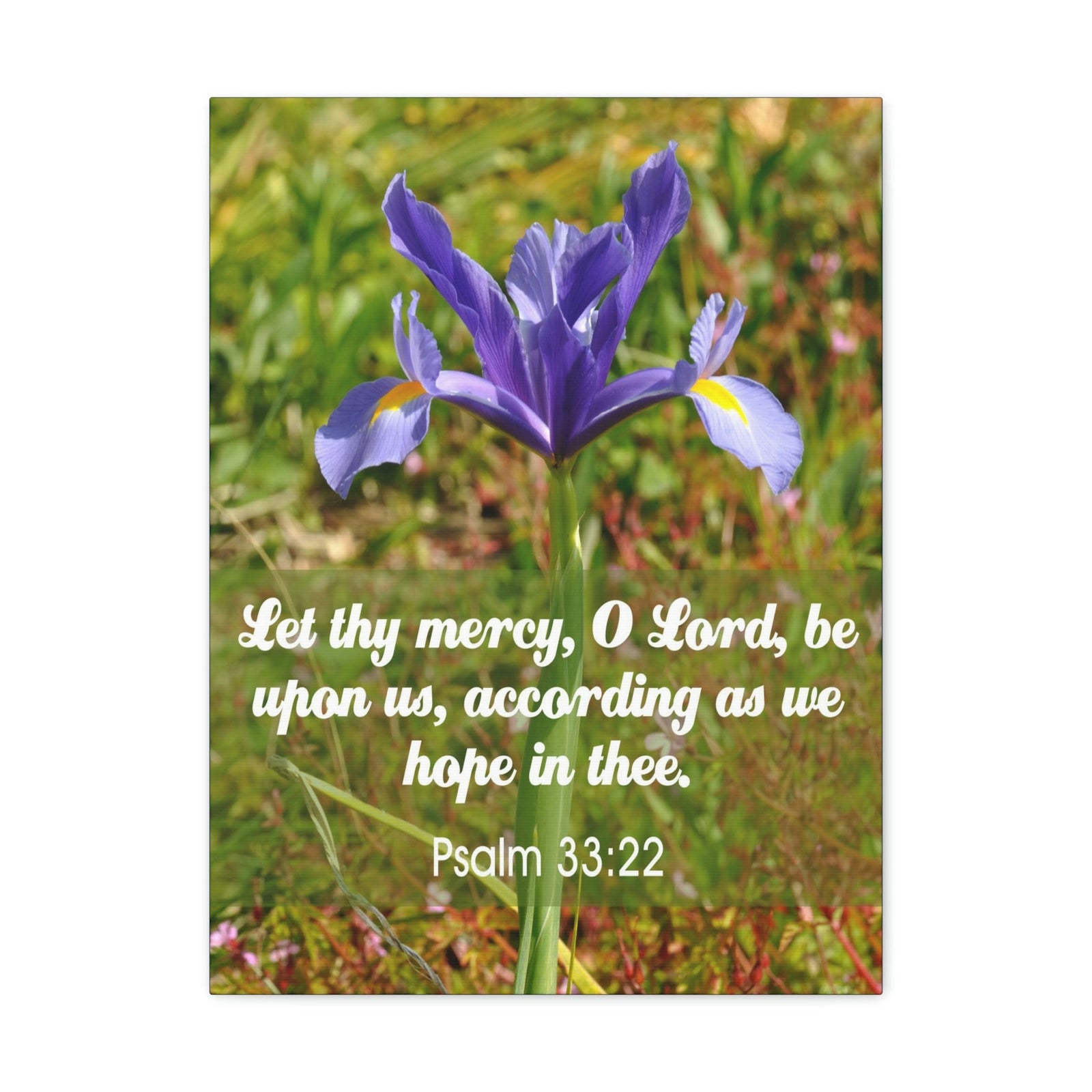 Scripture Walls Hope In Thee Psalm 33:22 Bible Verse Canvas Christian Wall Art Ready to Hang Unframed-Express Your Love Gifts